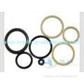 Non-toxic Viton / FKM / FPM O Ring / Gasket for Chemical In